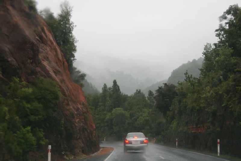 Nieuw-Zeeland 2011 - 0502